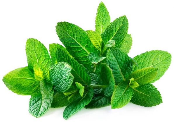 Hondrolife contiene olio essenziale di menta piperita